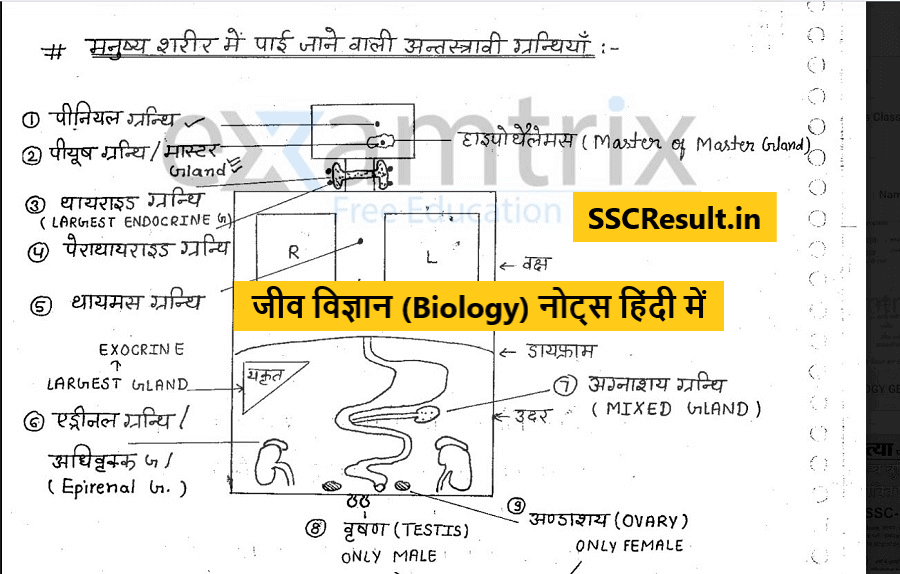 Download Biology notes PDF for SSC CGL, CHSL, CPO Exams