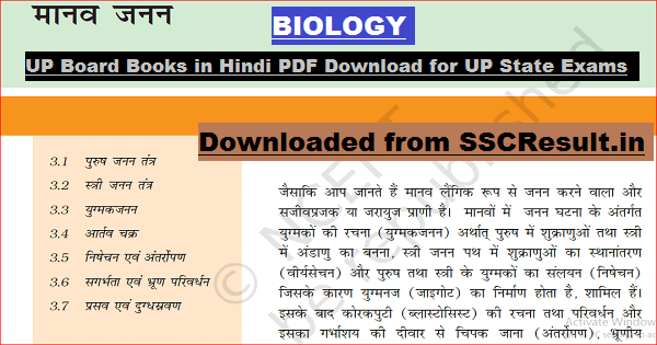 UP Board Books in Hindi PDF Download for UP State Exams