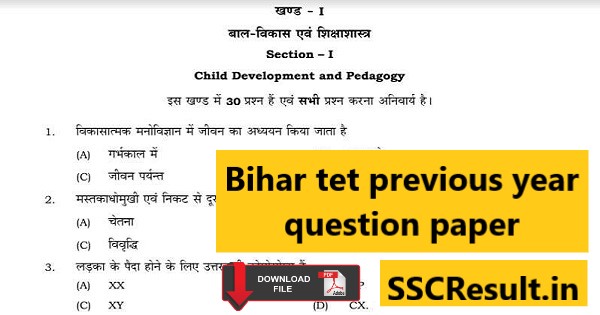 Bihar tet previous year question paper